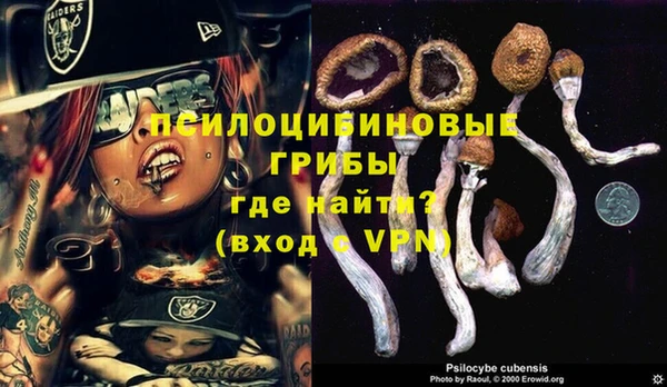 трава Заволжье
