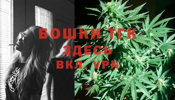 стаф Протвино